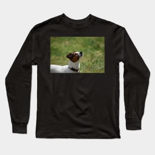 Little sniffer Long Sleeve T-Shirt